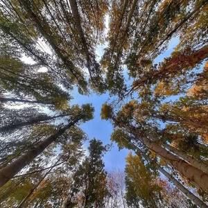 Meet your Posher, Buglem